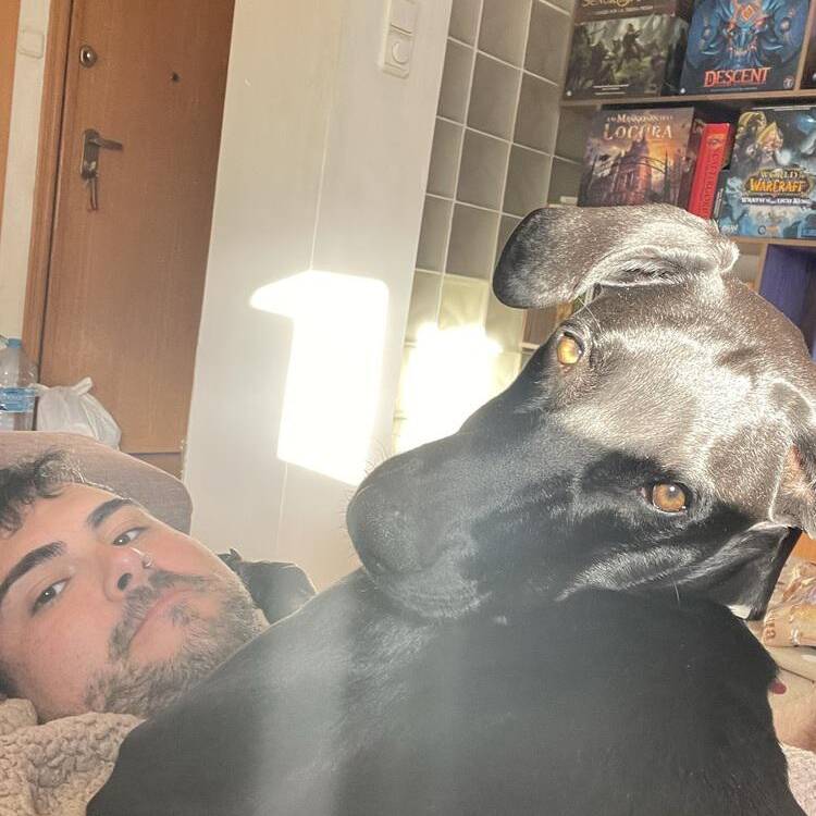 Foto de perfil