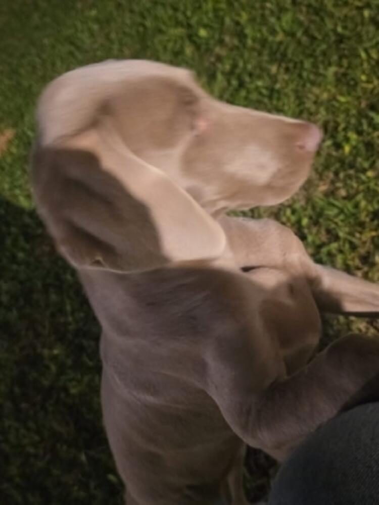 Foto de perfil de Nati Carmona