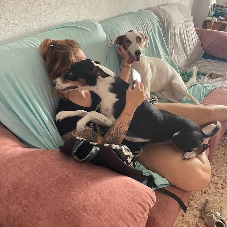 Foto de perfil de chanel