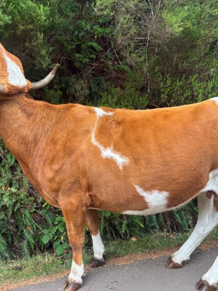 Foto de perfil de Mar