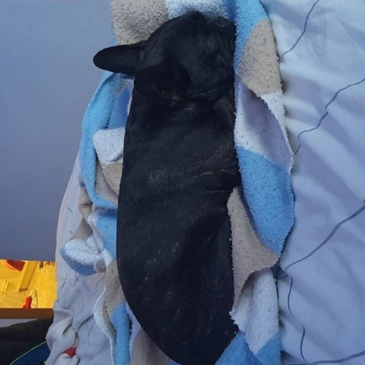 Foto de perfil