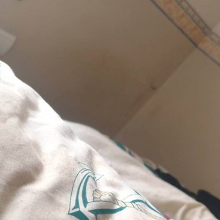Foto de perfil de Sebastián