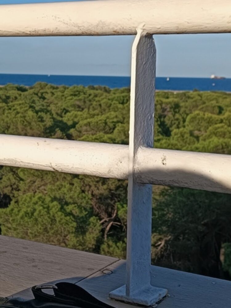 Foto de perfil de Jesse