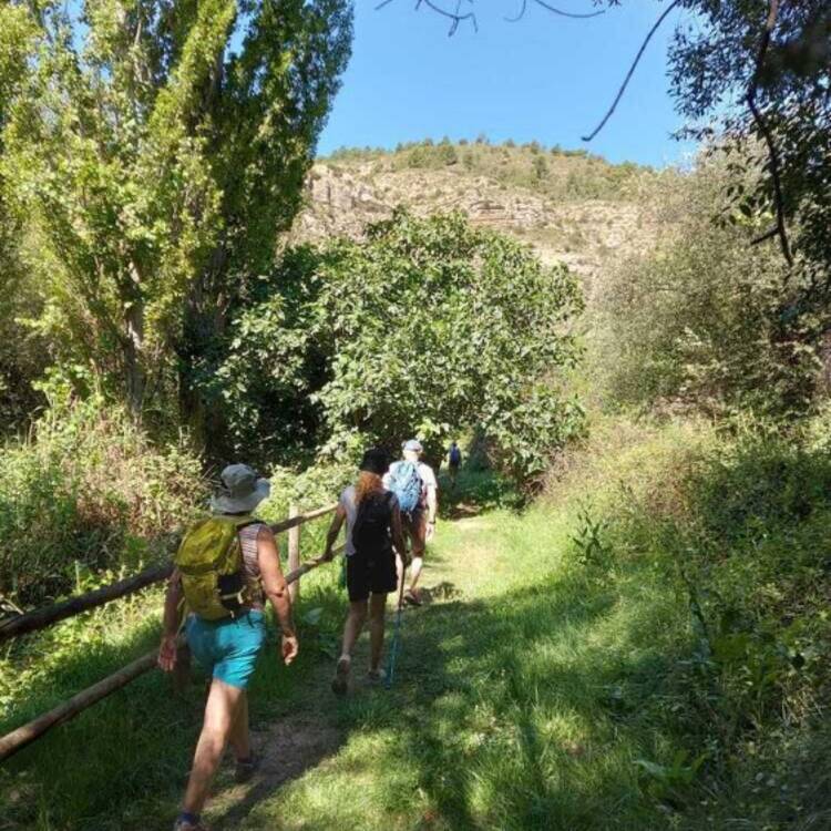 Foto de perfil de Antonio
