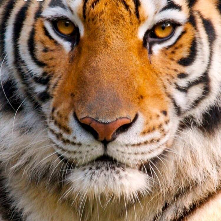 Foto de perfil de Juan