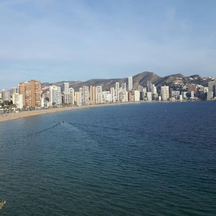 Foto de perfil de Paloma