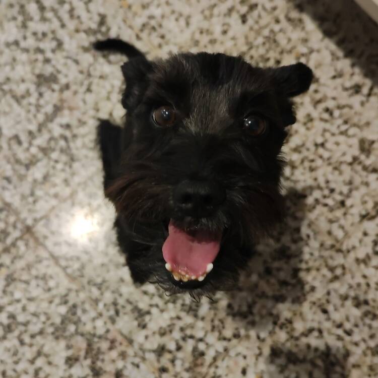 Foto de perfil