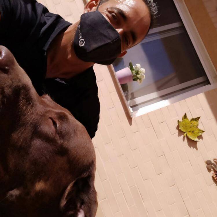 Foto de perfil de Jose Vte