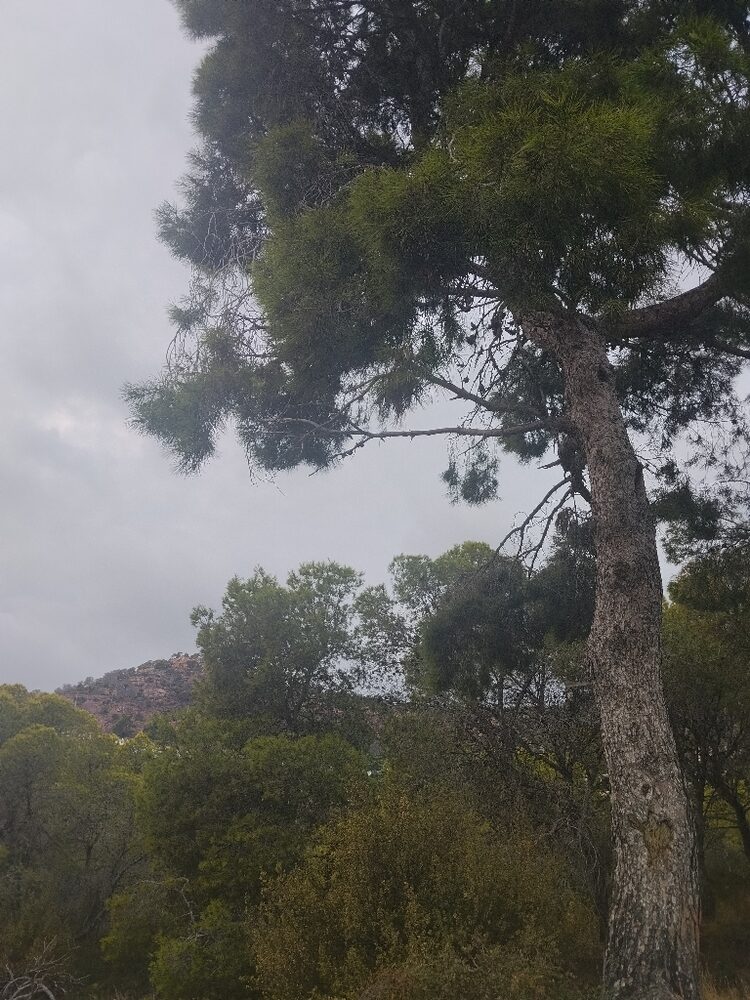 Foto de perfil de Maga