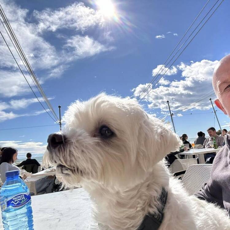 Foto de perfil