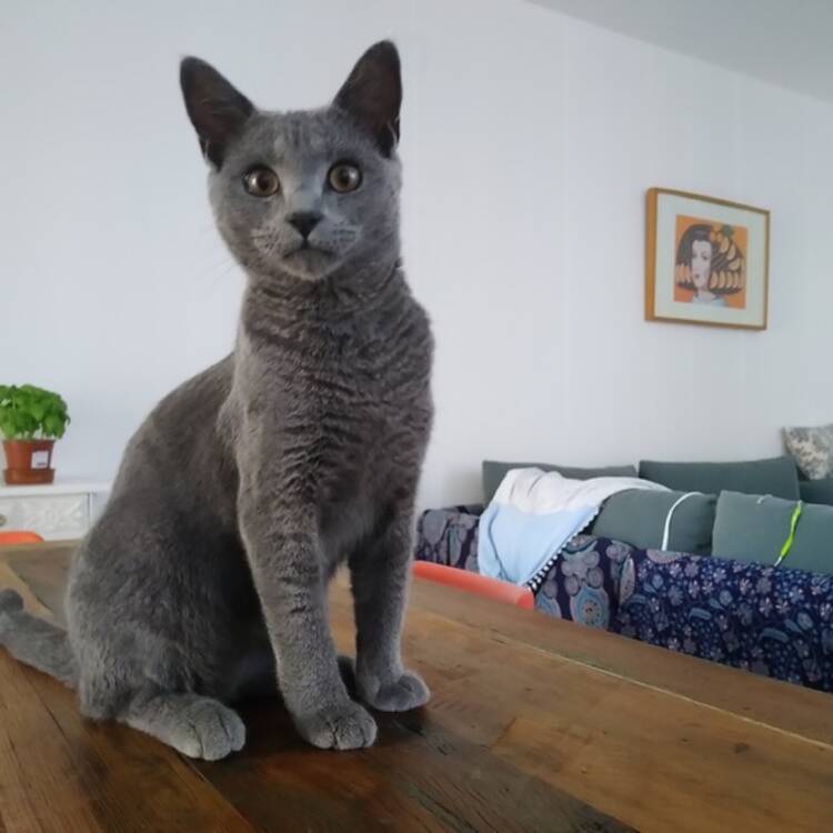 Foto de perfil