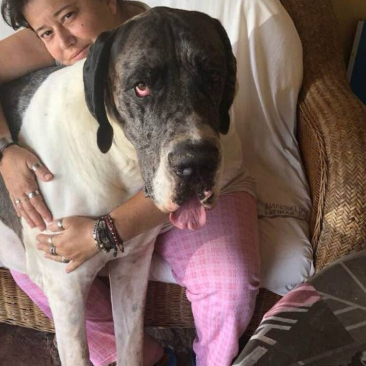 Foto de perfil de Inma