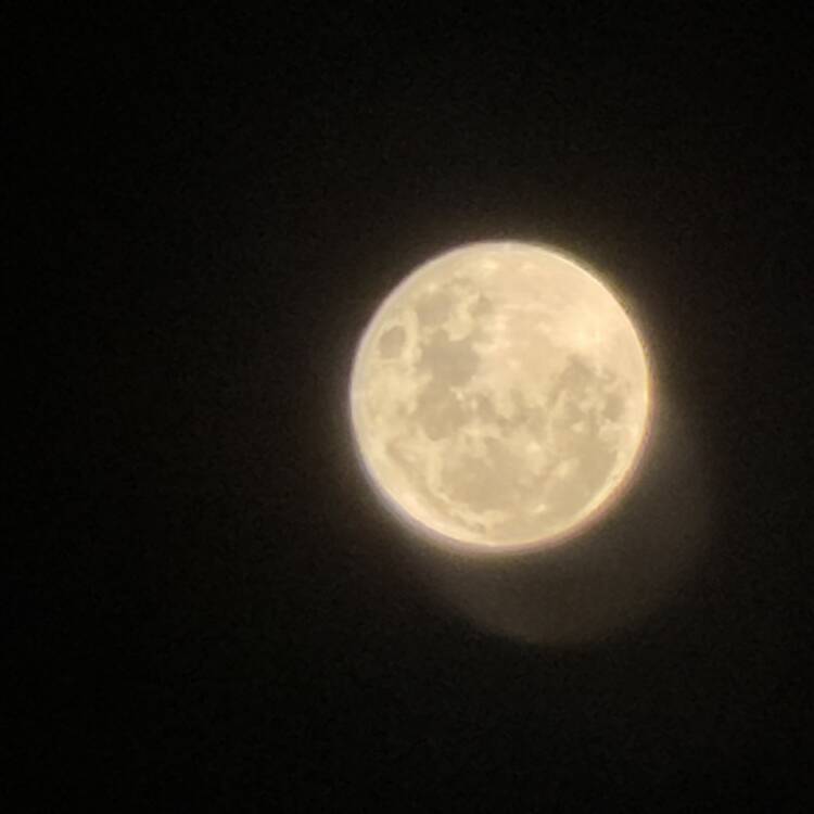 Foto de perfil de ChicoValencia