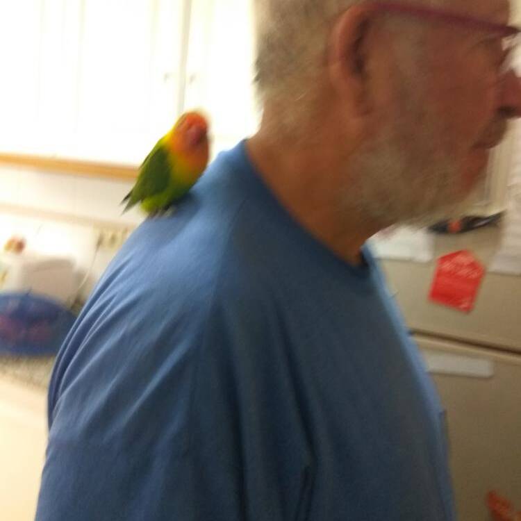 Foto de perfil