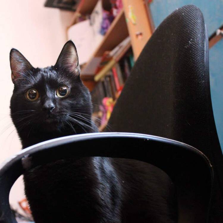 Foto de perfil