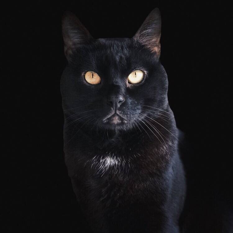 Foto de perfil de yihi