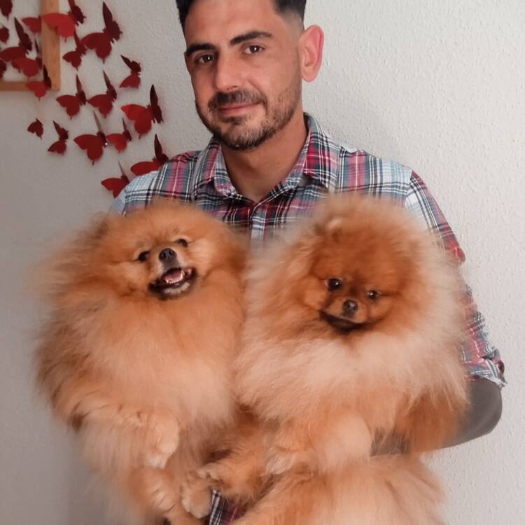 Foto de perfil