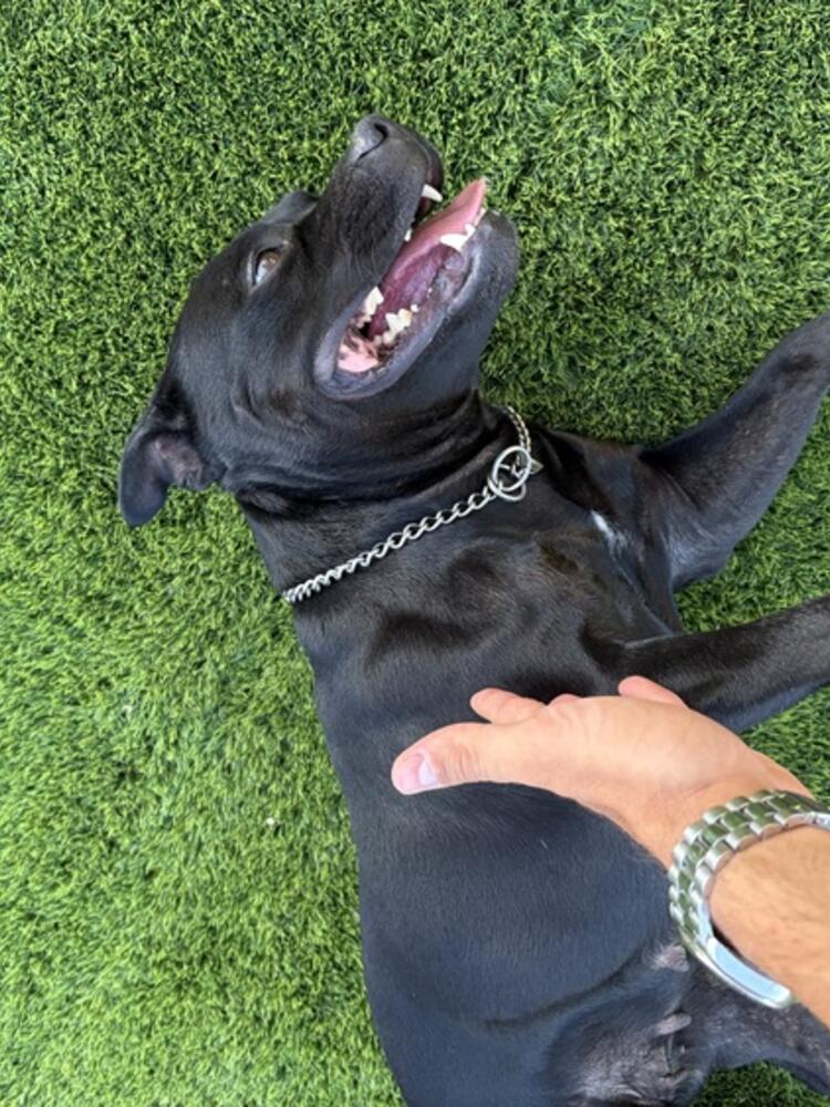 Foto de perfil de Paco