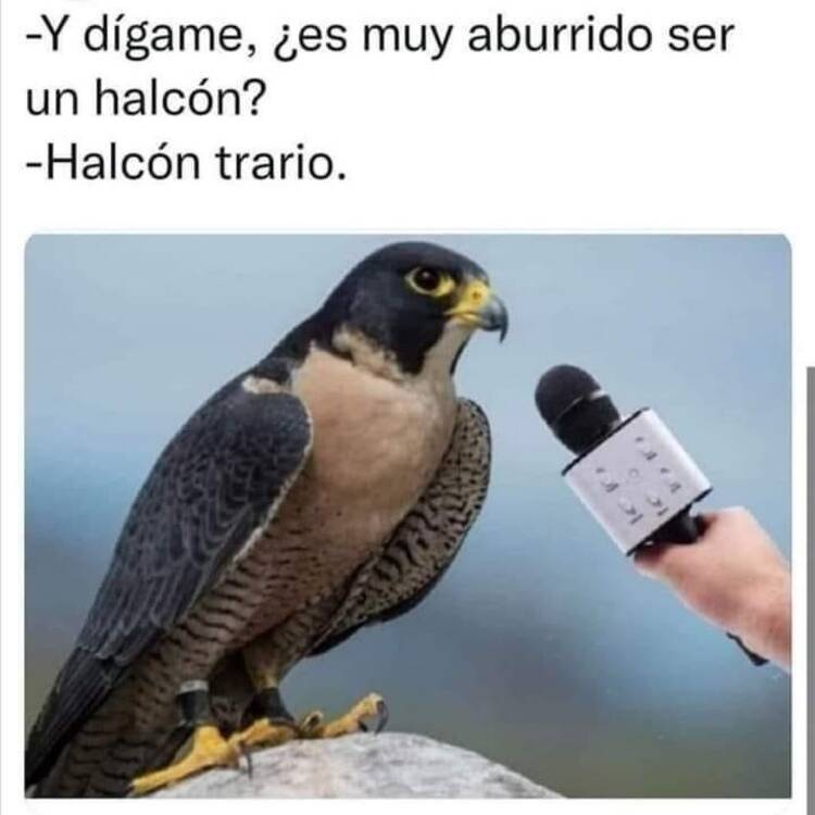 Foto de perfil de Jesus