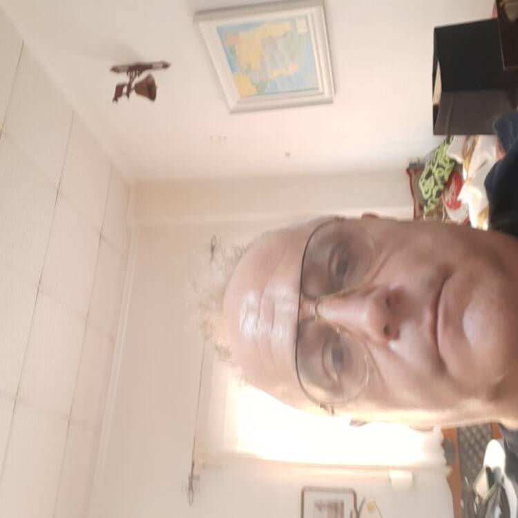 Foto de perfil de Jose luis