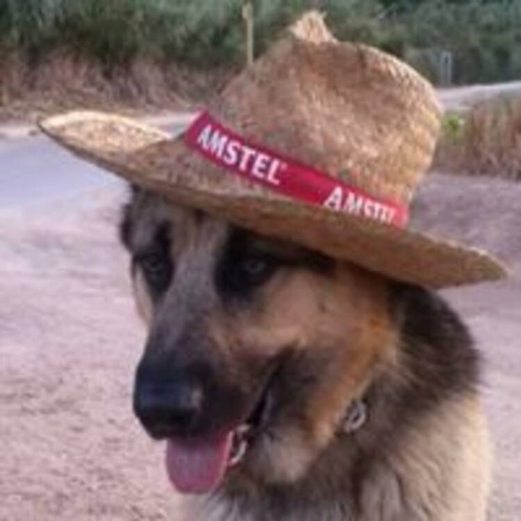 Foto de perfil