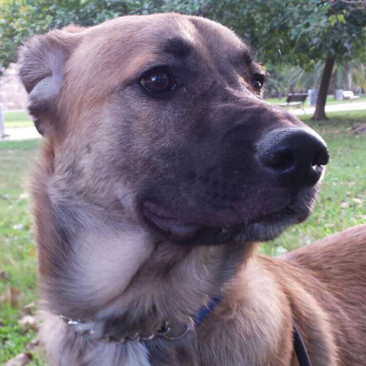 Foto de perfil