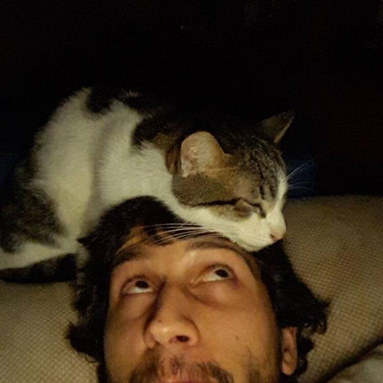 Foto de perfil