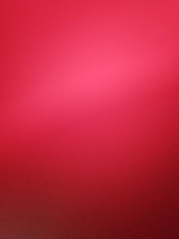 Foto de perfil de Daviddd