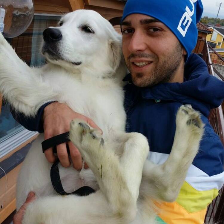 Foto de perfil