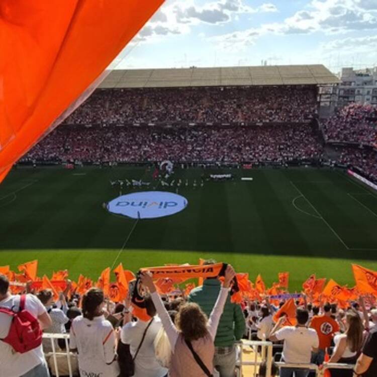 Foto de perfil de Antonio