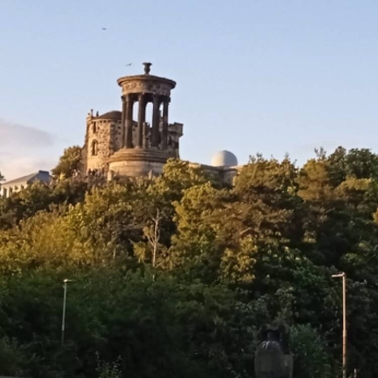 Foto de perfil de Victoria