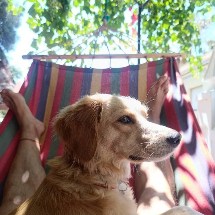 Foto de perfil de Javi