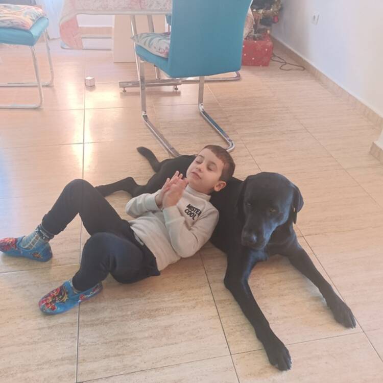 Foto de perfil de Miguel