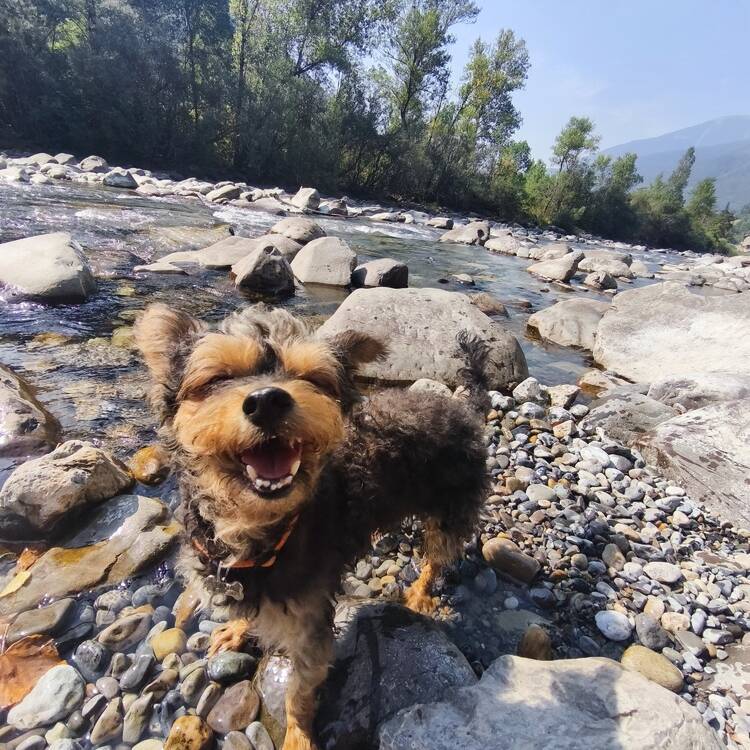 Foto de perfil de conchi