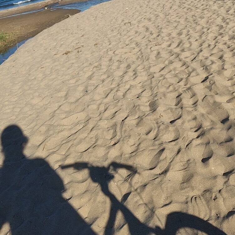 Foto de perfil de D Marc