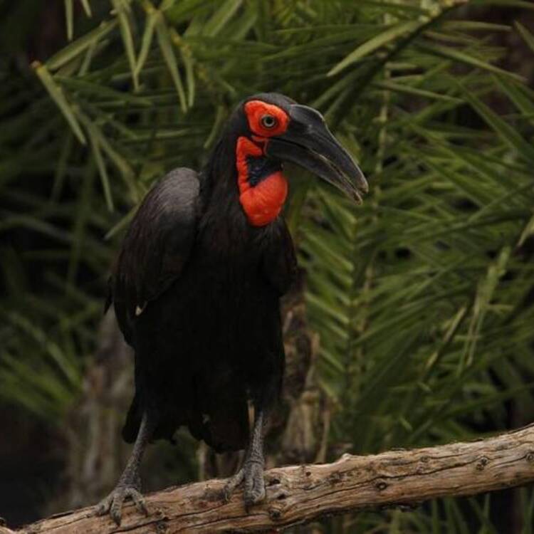 Foto de perfil de Juan Pedro