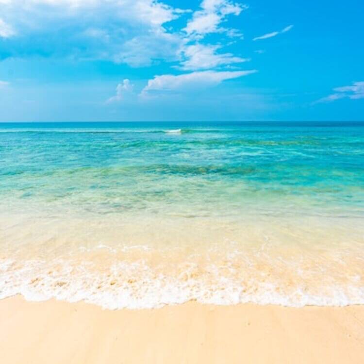 Foto de perfil de RELAX
