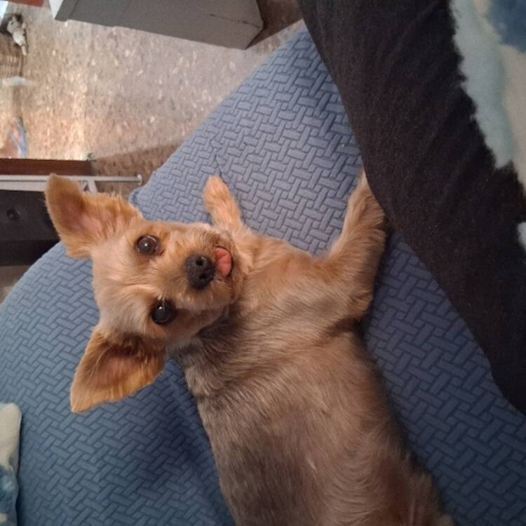 Foto de perfil de Toni