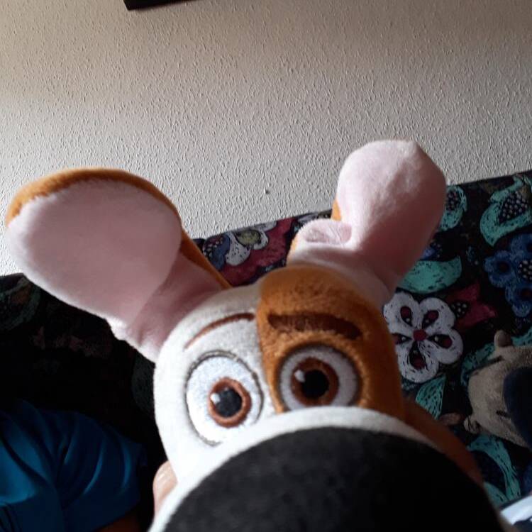 Foto de perfil