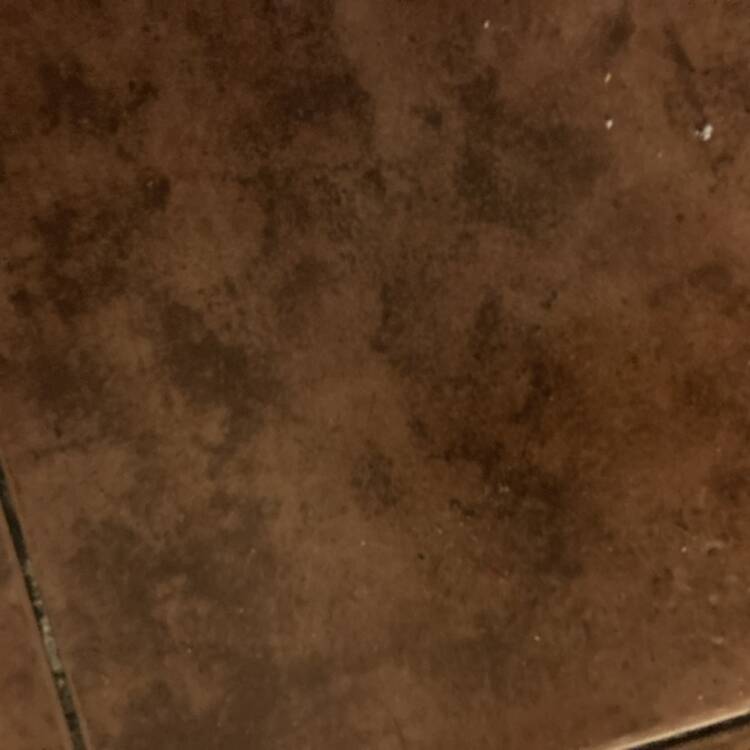 Foto de perfil de Pablo