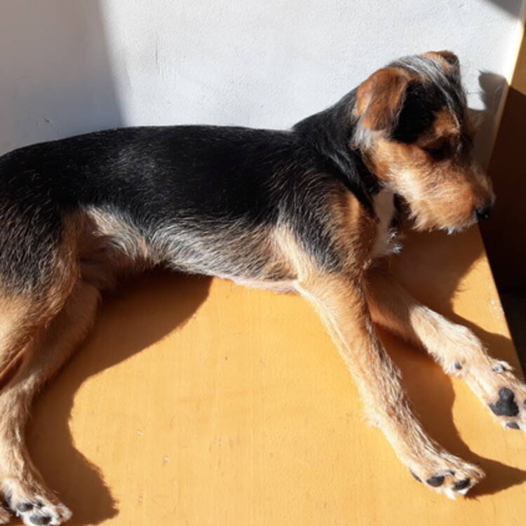 Foto de perfil