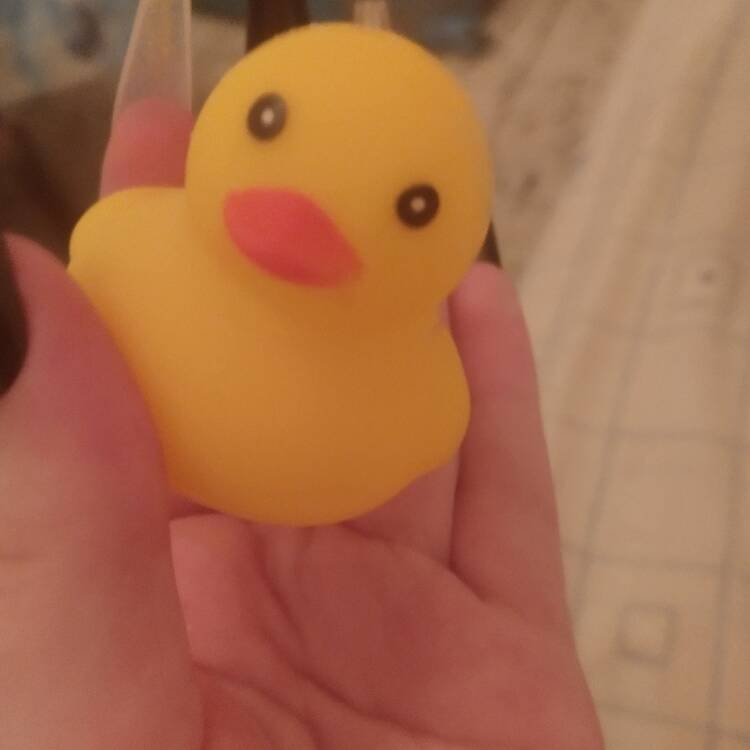 Foto de perfil de Mapachus