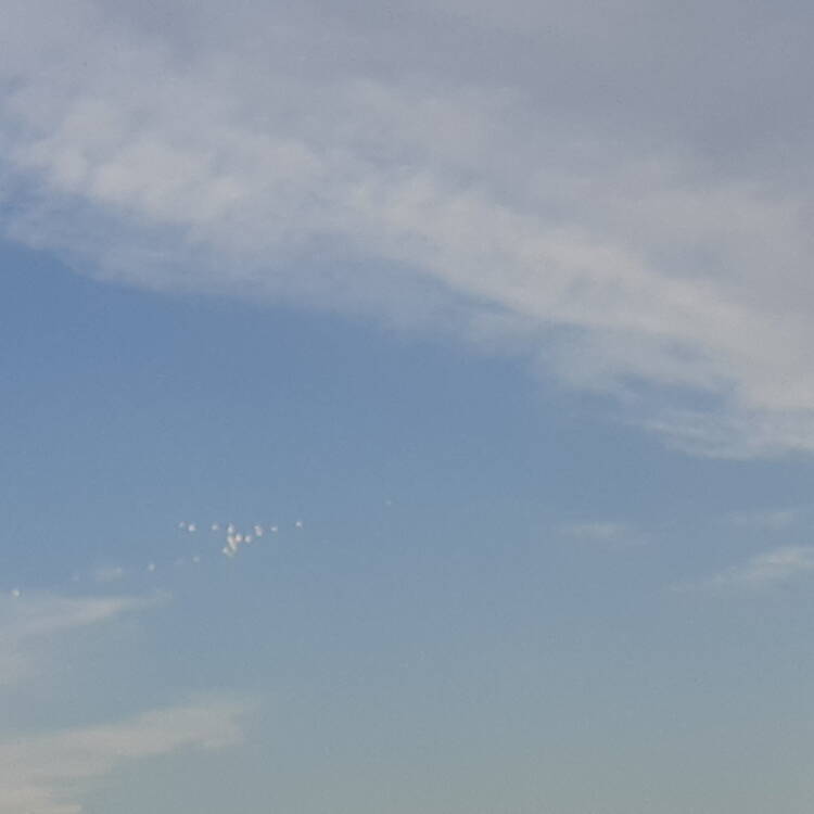 Foto de perfil de Cisco