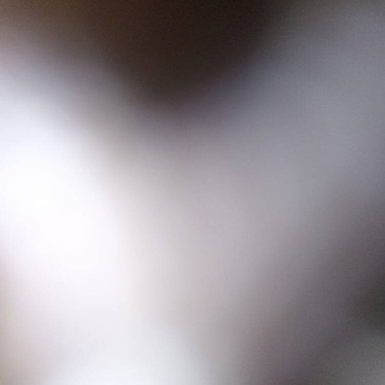 Foto de perfil de Home de camp