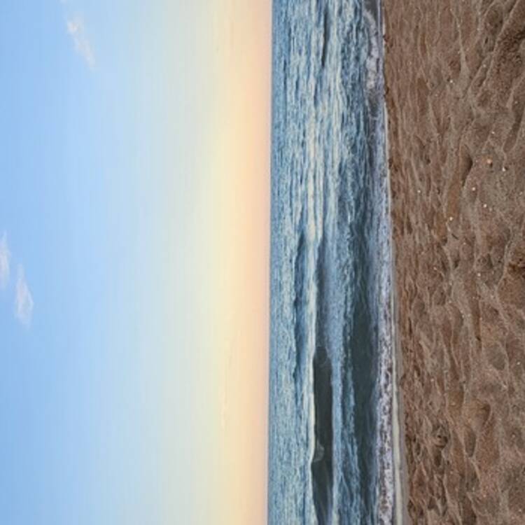 Foto de perfil de Carmen