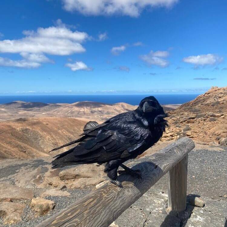 Foto de perfil de F