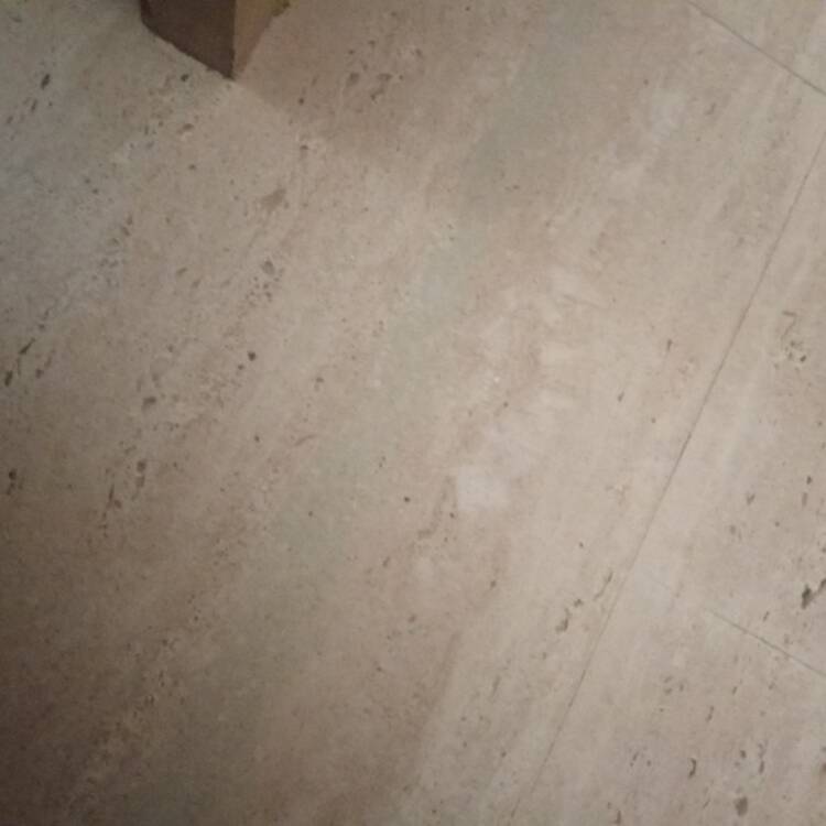 Foto de perfil de Dani