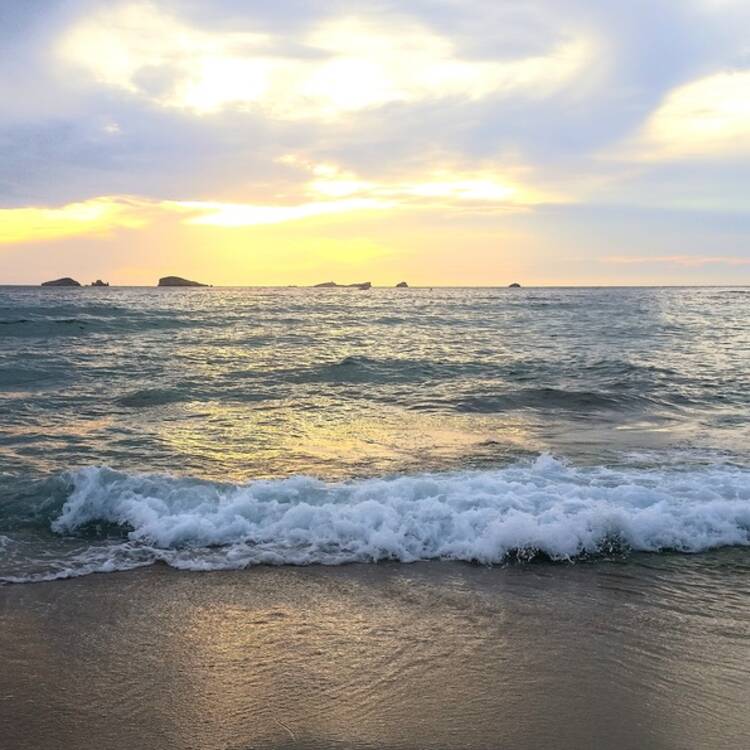 Foto de perfil de Taía