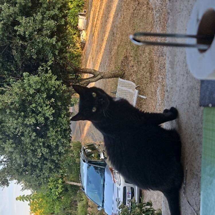 Foto de perfil de Magali