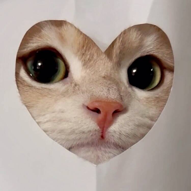 Foto de perfil de Gachiy